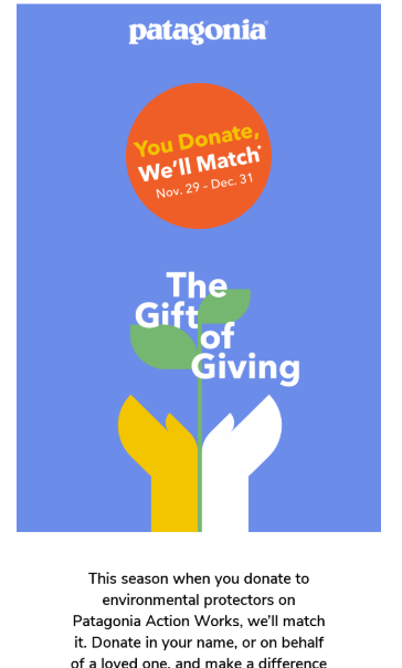 Patagonia Disability Awareness Month themed email